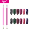 Lidan's new nail art double-headed magnetic pen, plum blossom brush, flower pattern magnetic pen, new nail art tool, cat's eye magnet details Picture